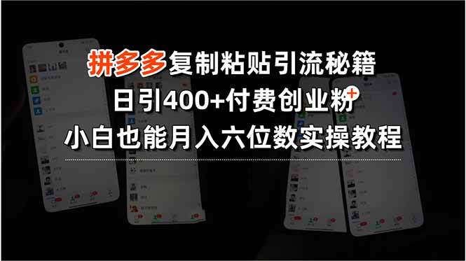 拼多多复制粘贴引流秘籍，日引400+付费创业粉，小白也能月入六位数实操…