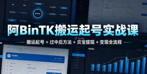 （2期）阿 BinTK 搬运起号实战课｜搬运起号 + 过中后方法 + 贝宝提现｜从起号到变现的完整闭环路径