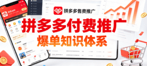 （2期）拼多多付费推广爆单知识体系｜直通车实战运营全攻略｜从知识体系到高 ROI 转化