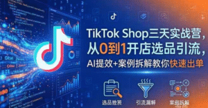 （2期）TikTok Shop 东南亚 5 国运营实战课｜Demo 老师亲授｜认知红利 + 爆点选品 + 内容起爆 + 流量增压全体系｜6 大模块从选品到 ROI 经营完整打通