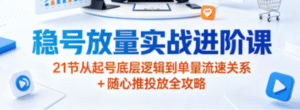 （3期）稳号放量实战进阶完整课