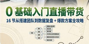 （4期）0 基础入门直播带货｜16 节从搭建团队到快速起号