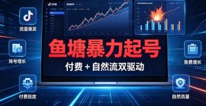 （6期）鱼塘暴力起号实战课