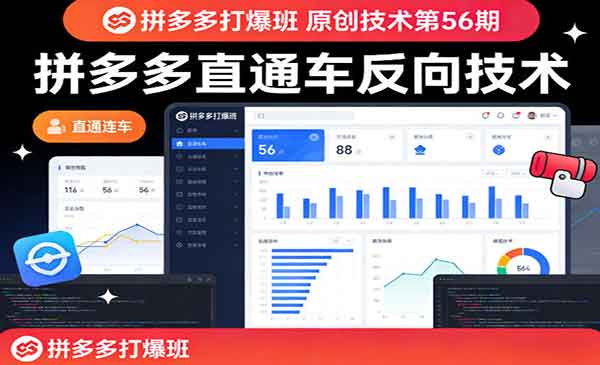 （三网1388期）拼多多直通车反向技术