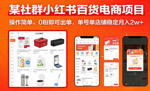 （三网1477期）小红书百货电商项目