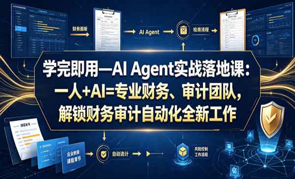 （三网204期）财务审计自动化