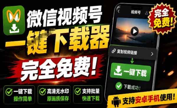 （三网534期）视频号下载助手