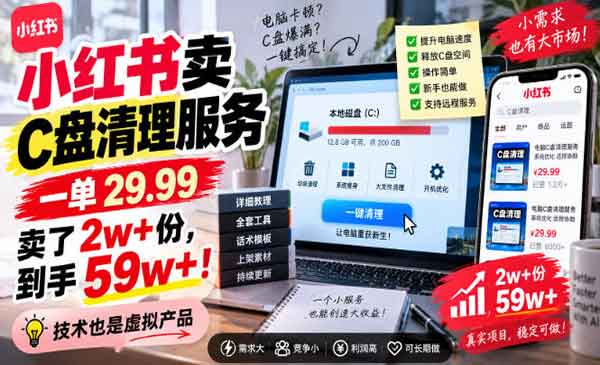 （三网77期）小红书卖C盘清理服务