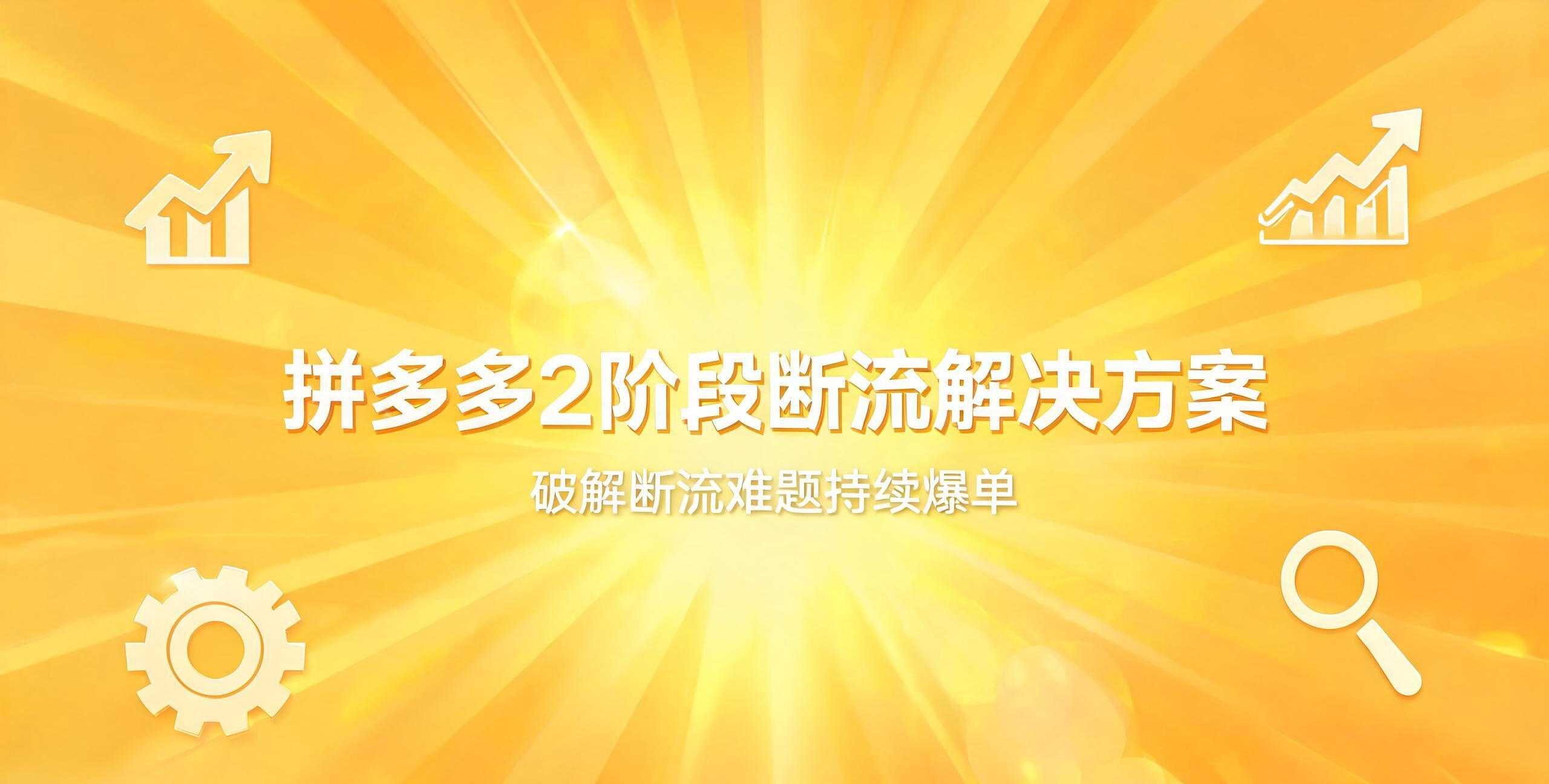 （12期）拼多多断流实战破解课