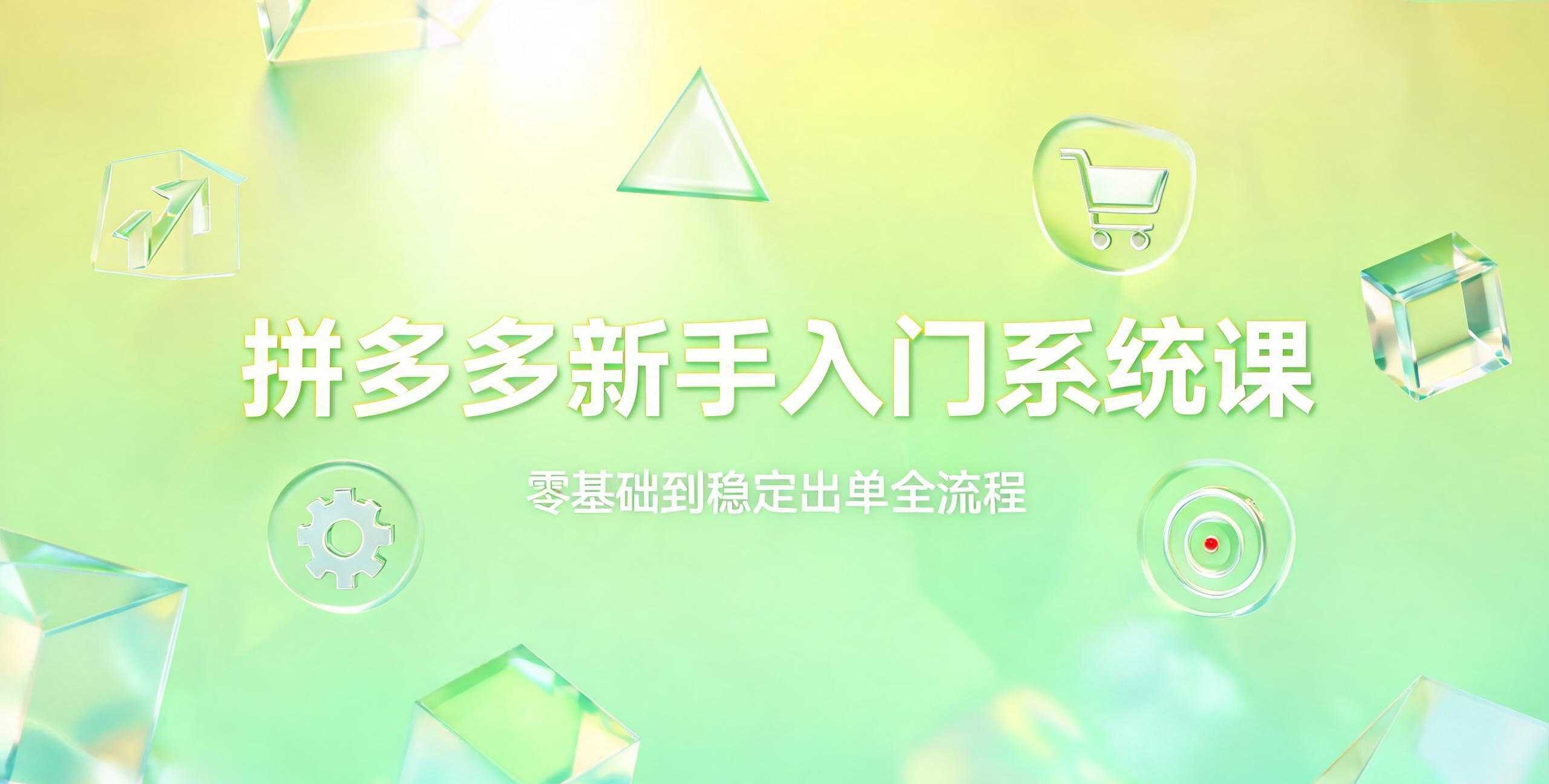 （12期）拼多多新手入门必学课