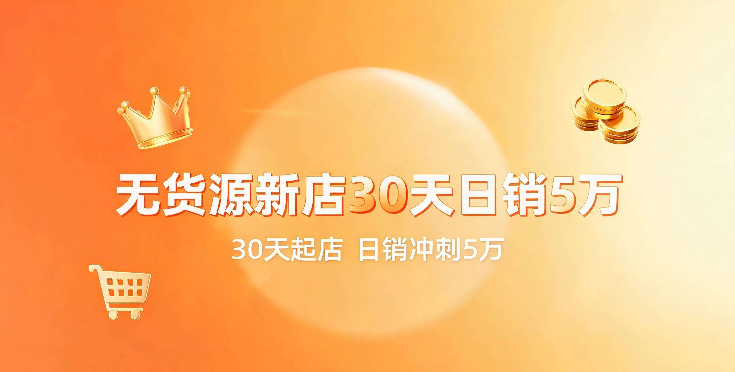 （12期）无货源新店30天日销5万