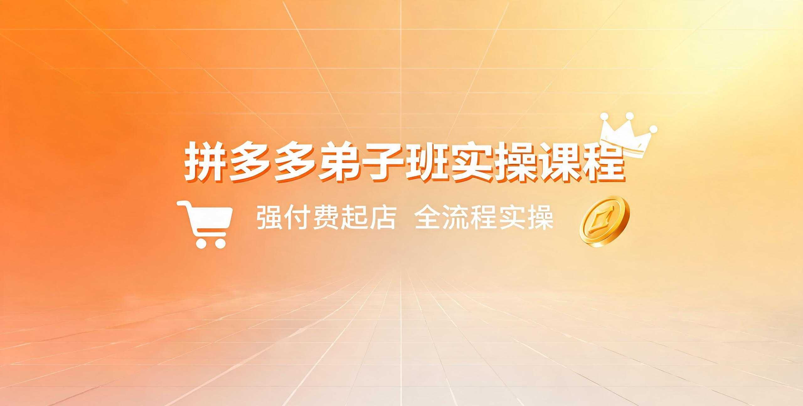 （12期）拼多多弟子班实操课程