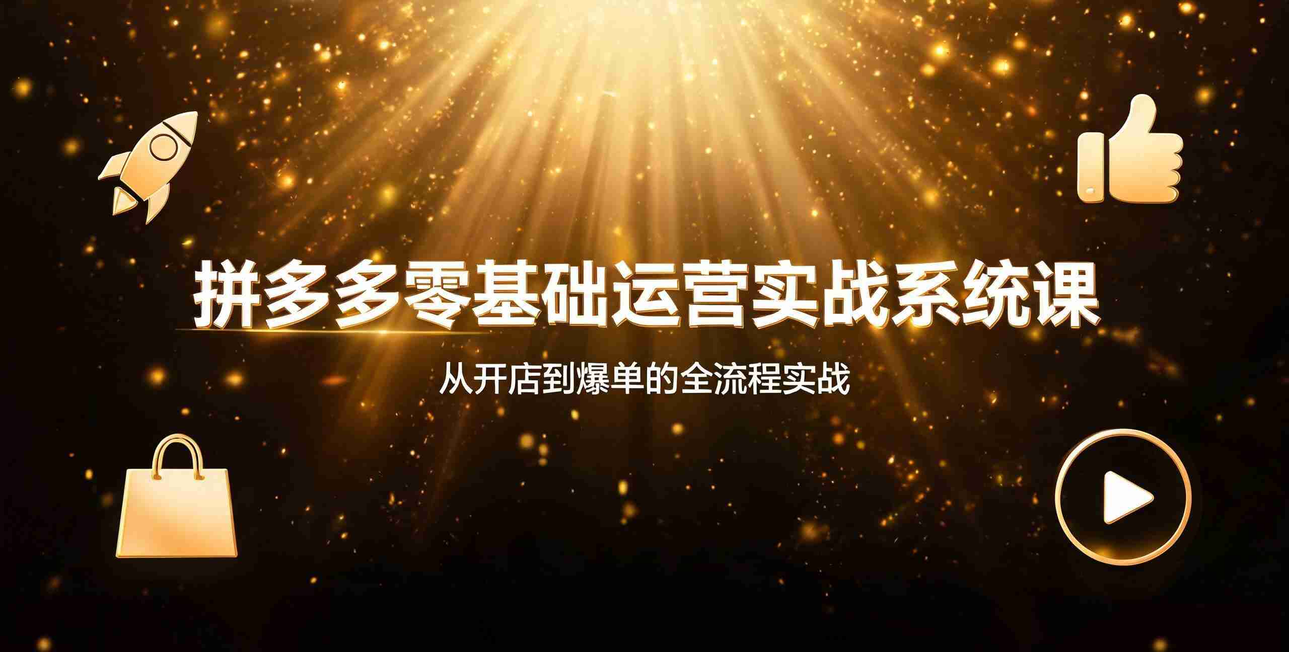 （12期）拼多多零基础运营实战系统课