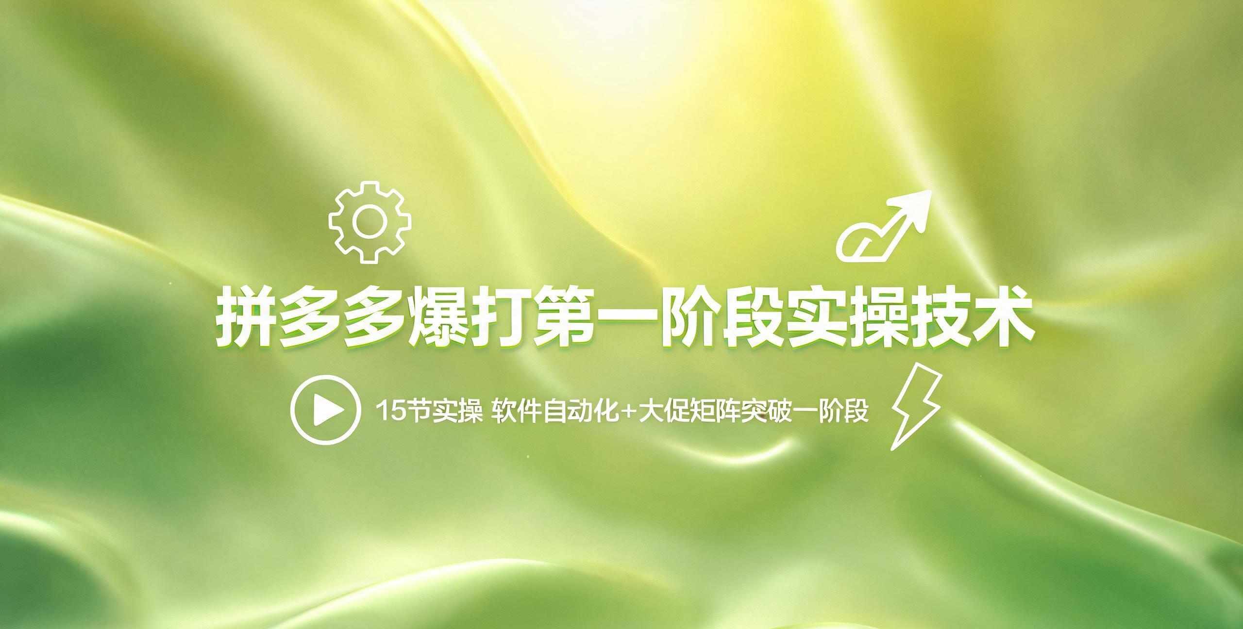 （12期）拼多多爆打第一阶段实操技术