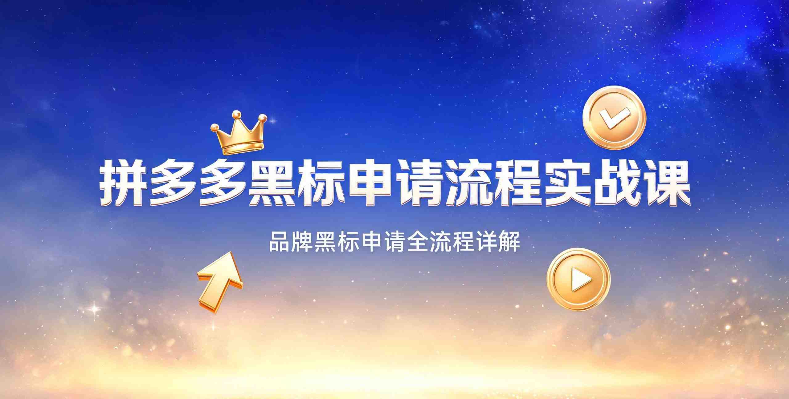 （12期）拼多多黑标申请流程实战课