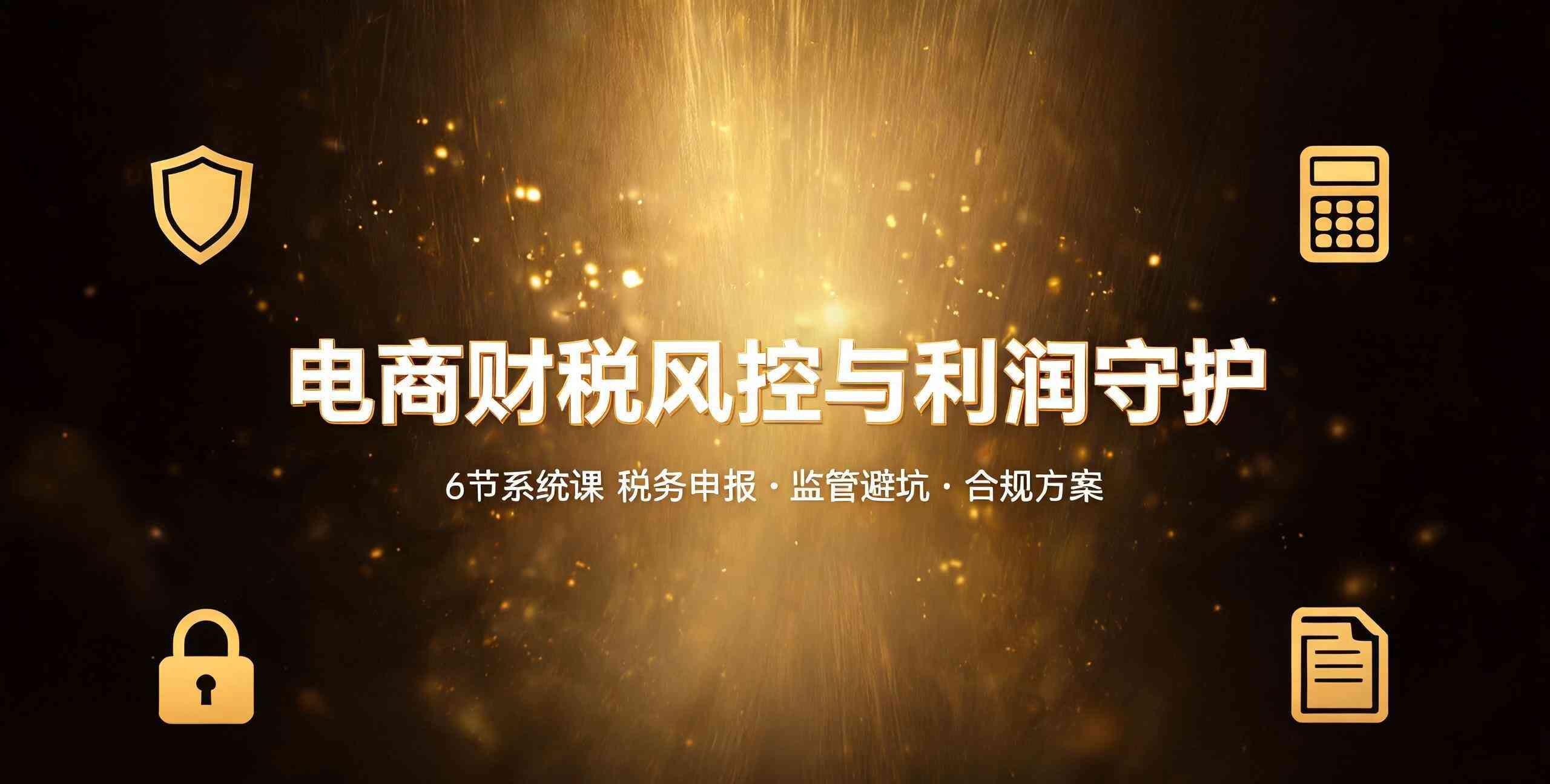 （12期）电商财税风控体系与利润守护线上课