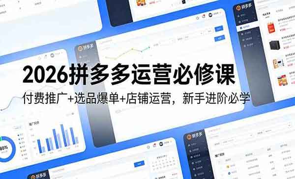 （三网1557期）2026拼多多运营必修