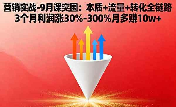 （三网1987期）营销实战突围课