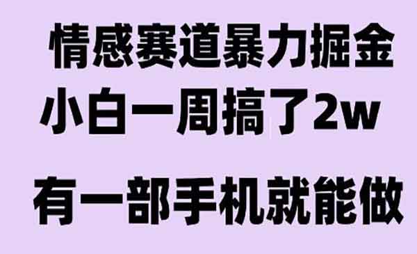 （三网2369期）情感暴力掘金项目