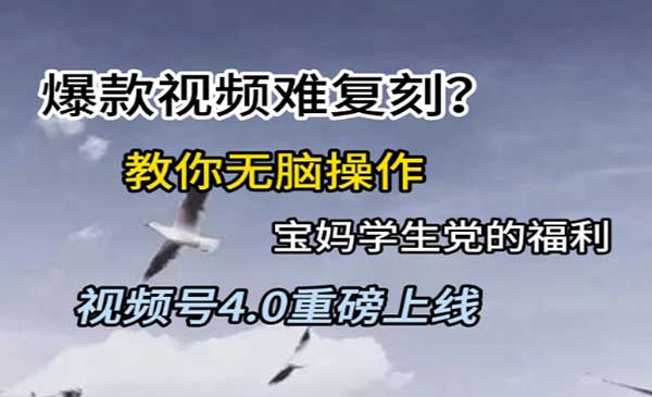 （三网2696期）视频号爆款视频复刻