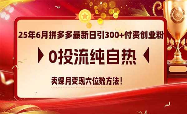 （三网2715期）拼多多日引300+创业粉