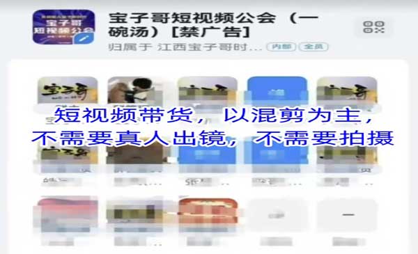 （三网2777期）短视频混剪带货