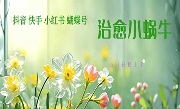 （三网2793期）蜗牛治愈视频玩法
