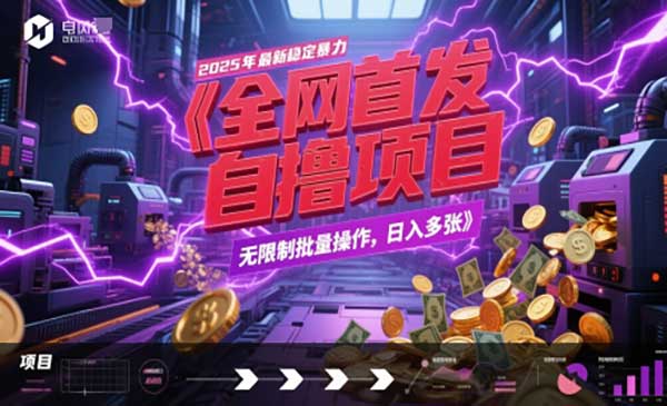 （三网2856期）暴力全自动自撸项目