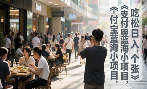 （三网2870期）支付宝街拍项目