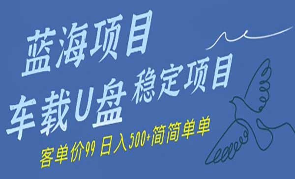 （三网2884期）车载U盘蓝海稳定项目