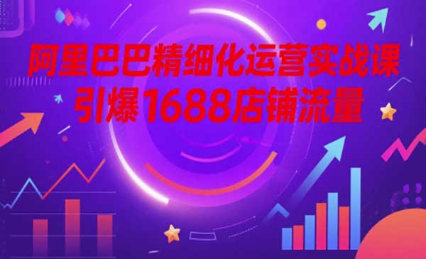 （三网2946期）阿里巴巴精细化运营