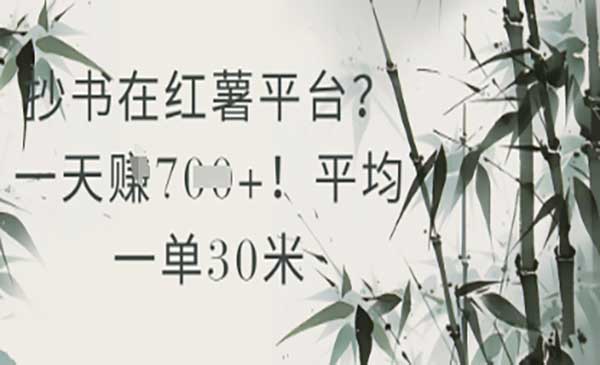 （三网2947期）小红书抄书项目