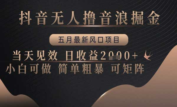 （三网2960期）抖音无人撸音浪掘金