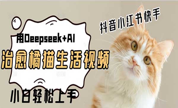 （三网2979期）Deepseek做治愈橘猫视频