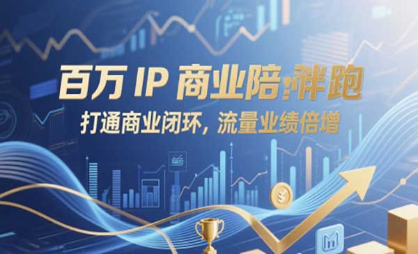 （三网2990期）百万IP商业陪跑