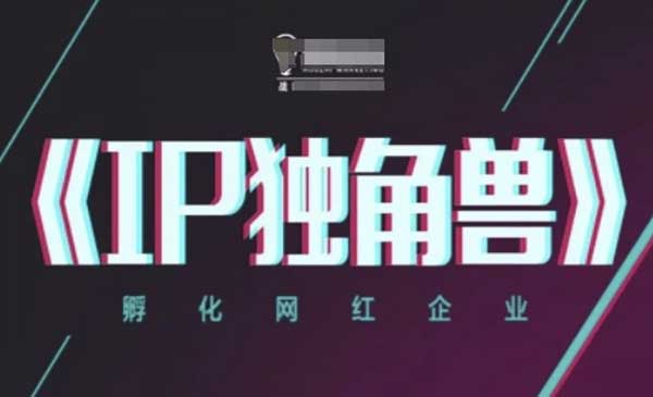 （三网3016期）孵化网红企业IP