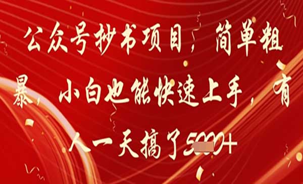 （三网3025期）公众号抄书项目