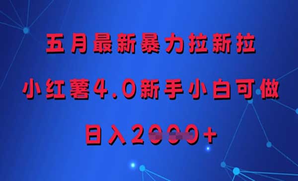 （三网3039期）小红书暴力拉新拉4.0