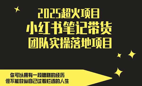 (三网3041期)小红书笔记带货落地