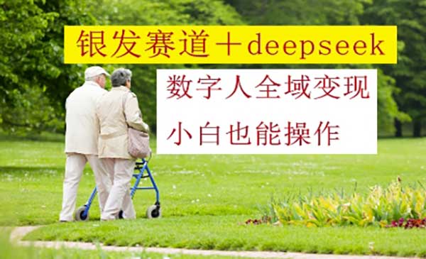 (三网3143期)Deepseek银发赛道变现