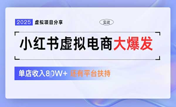 （三网3147期）小红书虚拟电商1拖3