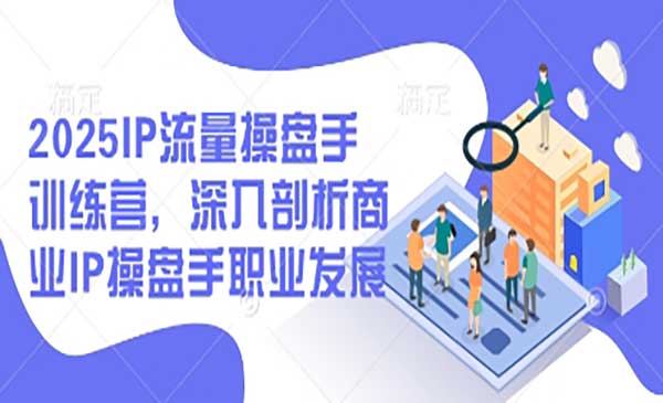 (三网3207期)IP流量操盘手