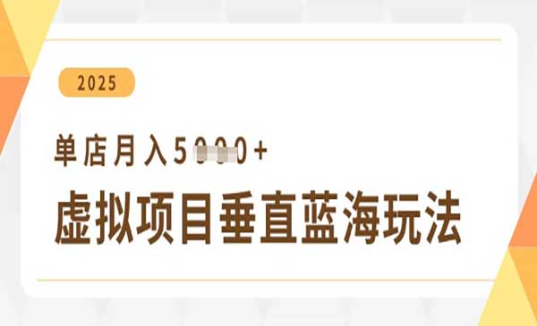 （三网3344期）虚拟项目垂直玩法
