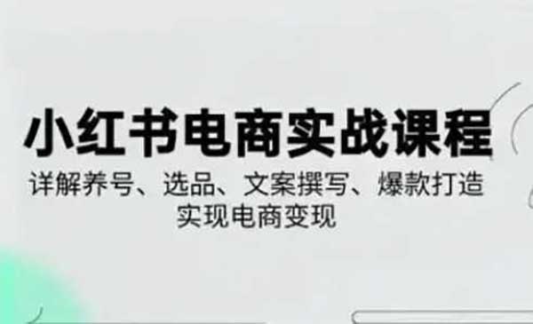 （三网3385期）小红书爆款电商变现