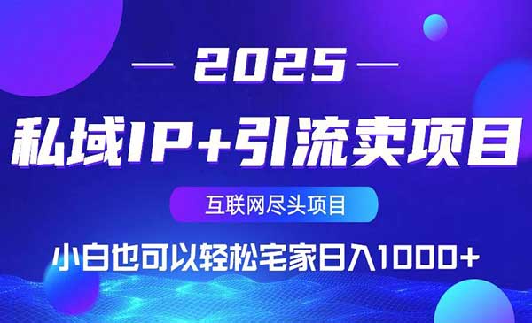 (三网3475期)私域IP引流卖项目