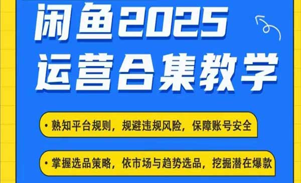 （三网3514期）闲鱼托管电商项目