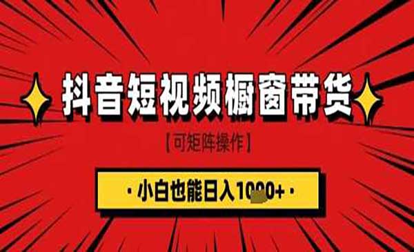 （三网3516期）短视频带货项目