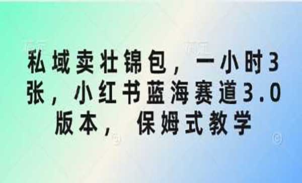 （三网3548期）轻奢壮锦包项目
