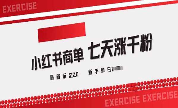 （三网3703期）小红书商单2.0