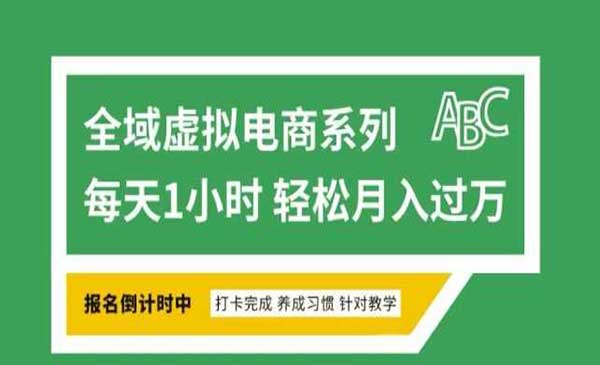 （三网3851期）全域虚拟电商变现